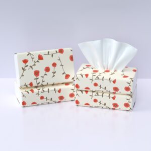 Home Lotion Tissue x 24